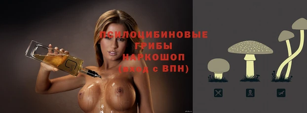ALPHA-PVP Белокуриха