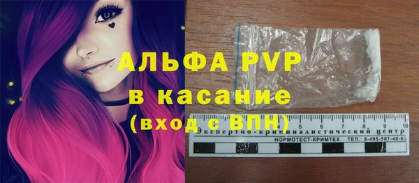 экстази Бородино